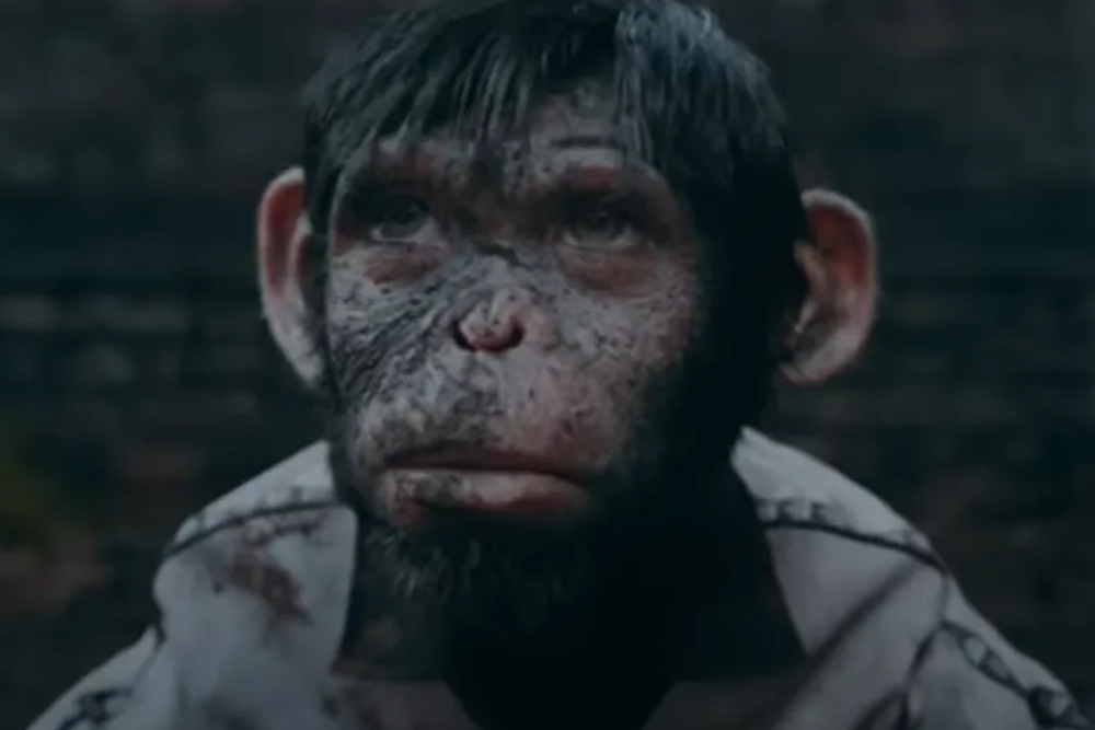 Robbie Williams Biopic Better Man 2025: Why He's Played by a Chimp in This Must-Watch Film!