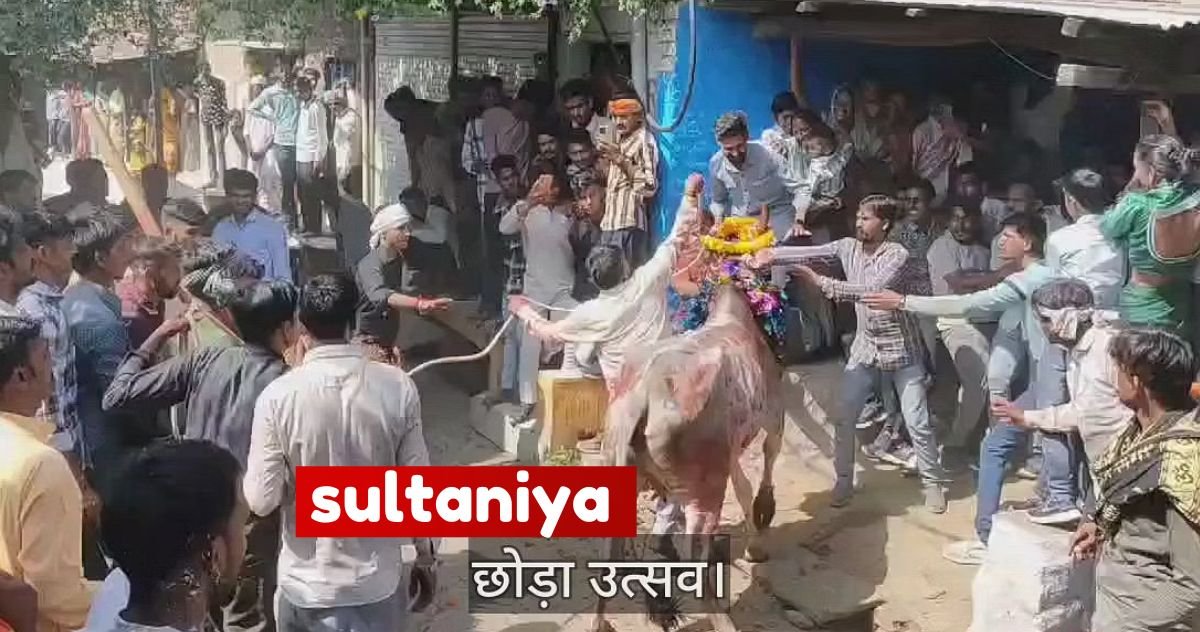 Sultaniya Village Guide: History, CHODA Festivals & Farming You’ll Love