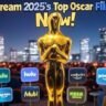 2025 Oscar Best Picture nominees: Where to Stream Every Contender Online (Netflix, Hulu, Peacock & More)